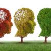 Клинические испытания показали уменьшение прогрессии болезни Альцгеймера более чем наполовину