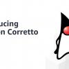 Представляем Amazon Corretto, бесплатный дистрибутив OpenJDK с долгосрочной поддержкой