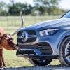 Е-подвеска: тест нового Mercedes-Benz GLE