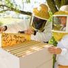 Пчеловоды против микроконтроллеров или о пользе ошибок