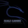 Kali Linux для начинающих