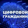 Прототип платформы цифрового профиля гражданина запустят в РФ до конца 2019 года
