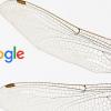 Google закрыл проект китайского поисковика с цензурой из-за разногласий внутри компании