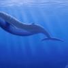 В желудке древнего кита нашлись киты поменьше