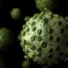 В скважине на двухкилометровой глубине найдены три вируса