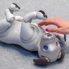 Новая игрушка расширит способности робота-собаки Sony Aibo