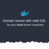 Доменные имена с валидным SSL для локальных Docker-контейнеров