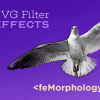 Эффекты фильтров SVG. Часть 2. Контурный текст при помощи feMorphology