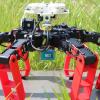 Создан робот, осуществляющий навигацию подобно пустынному муравью