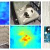 Making a DIY thermal camera based on a Raspberry Pi