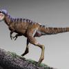 Открыт новый вид тираннозаврид