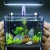 Как сделать самый маленький аквариум для растений