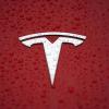 Tesla берет в Китае кредит на постройку «гигафабрики» и увеличивает общую сумму обязательств