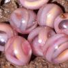 «Мраморные» яйца загадочных существ: потрясающие фото