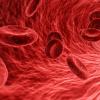 Созданы идеальные протезы кровеносных сосудов
