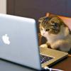 9 советов по использованию библиотеки Cats в Scala