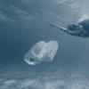 Пластиковые волны: экологическая катастрофа Мирового океана