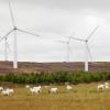 Ветряные электростанции Шотландии вдвое перекрывают потребности страны, если говорить только о питании домохозяйств
