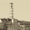 «Ядерная» водка из чернобыльского зерна: можно ли ее пить?