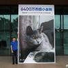 Первое фото с камеры Redmi Note 8 Pro и огромный плакат с котиком
