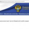 Счетная палата РФ при аудите не нашла обновления сайта и мобильные приложения для Росстата за десятки миллионов рублей