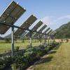 Сельское хозяйство и солнечные панели — win-win стратегия для энергетиков и фермеров
