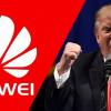 Трамп настроен решительно. Huawei может помочь только другой президент США