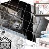 Домик с элементами хай-тека, для бездомного кота