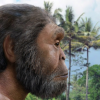 Homo erectus умели запасать еду впрок