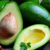 Авокадо поможет толстякам избежать проблем с сердцем