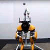 Робот Cassie Cal из Калифорнийского университета научился жонглировать мячом