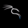 Kali Linux получил секретный режим, который маскирует его под Windows 10