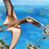 Описан новый вид птерозавров