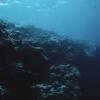 Откуда в океане мертвые зоны и чем они опасны для нас с вами