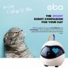 Ebo — робот-компаньон для кошек