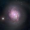 Фото дня: магнитная сущность спиральной галактики