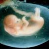 Организм человека стареет с момента зачатия: новое исследование