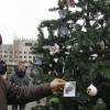 В Припяти впервые за 33 года установили новогоднюю ель
