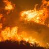 Ужасы природы: пожарные пытаются вырваться из огненного котла