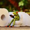 История туалетной бумаги: самое деликатное изобретение