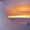 Восток и его обитатели: тайны подледного озера Антарктиды