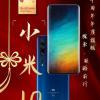Правильный Xiaomi Mi 10 позирует в полный рост