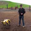 Адам Севидж начал годовое тестирование робота Boston Dynamics Spot на YouTube-канале Tested