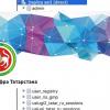 Минцифра Татарстана: в открытом доступе оказался «небольшой» объем данных пользователей госуслуг
