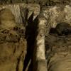 Воры помогли археологам найти хранилище мумий