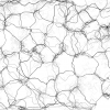 Рисуем муравьями: процедурные изображения при помощи алгоритмов оптимизации муравьиной колонии