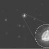 Телескоп CHEOPS получил снимок своей первой звезды
