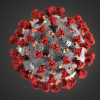 Учёные обнаружили ещё один путь заражения коронавирусом