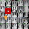 Определяем COVID-19 на рентгеновских снимках с помощью Keras, TensorFlow и глубокого обучения
