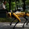 Робот-собака напоминает посетителям сингапурского парка о необходимости держать дистанцию